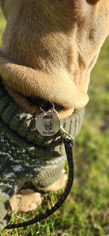 Hugo Hundbricka på en nöjd kund